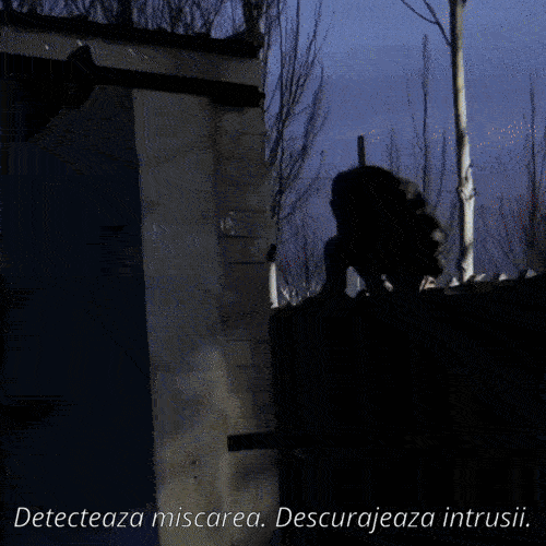 Lanterne Solare pentru Perete